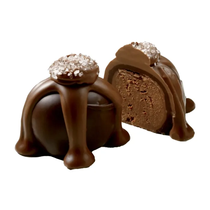 Dark Chocolate Sea Salt Caramel Truffle 15Ounce SWEETSHOPUSA Earrings