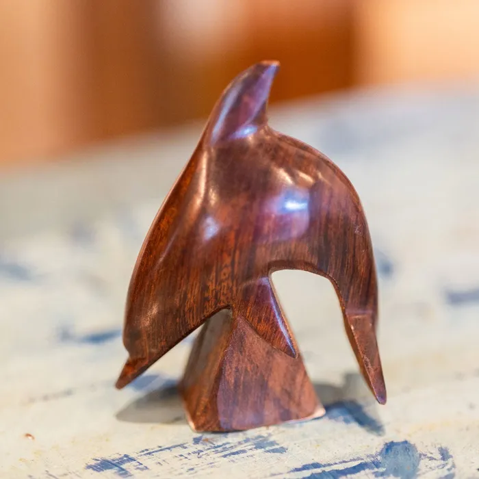 Earrings EARTHVIEW EarthView Mini Ironwood Jumping Dolphin