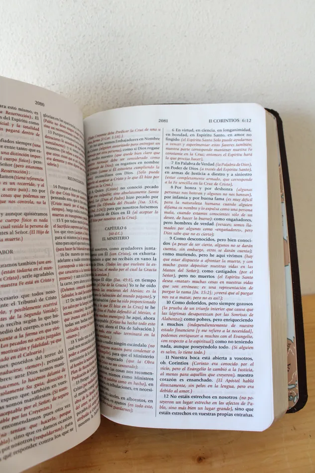 Earrings Jubilee Thrift Biblia De Estudio Del Expositor Versin Textual Expositora Earrings Jubilee Thrift Biblia De Estudio Del Expositor Versin Textual Expositora