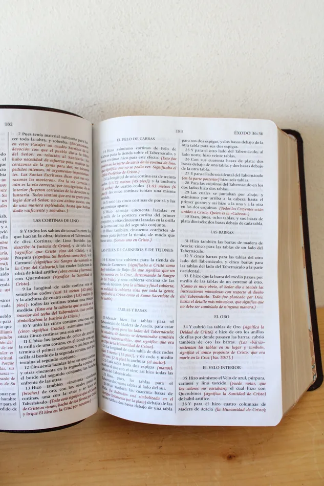 Earrings Jubilee Thrift Biblia De Estudio Del Expositor Versin Textual Expositora Earrings Jubilee Thrift Biblia De Estudio Del Expositor Versin Textual Expositora