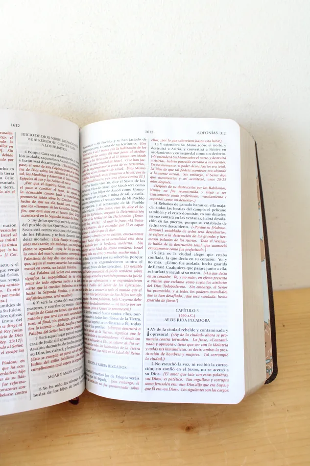 Earrings Jubilee Thrift Biblia De Estudio Del Expositor Versin Textual Expositora Earrings Jubilee Thrift Biblia De Estudio Del Expositor Versin Textual Expositora