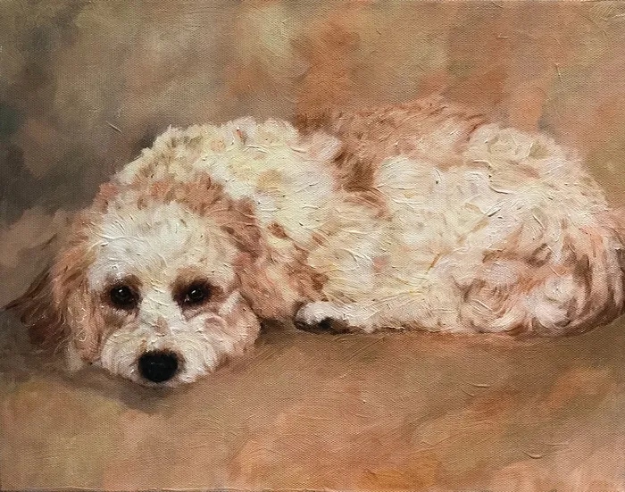 Earrings Portraits by NC Cavachon Dog Oil Portrait