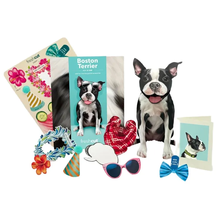 Freshcut Paper Popup Boston Terrier Greeting Card Kit FRESHCUTPAPER Earrings Freshcut Paper Popup Boston Terrier Greeting Card Kit FRESHCUTPAPER Earrings