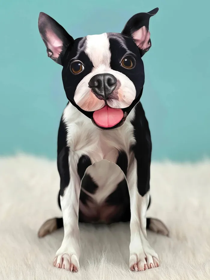 Freshcut Paper Popup Boston Terrier Greeting Card Kit FRESHCUTPAPER Earrings