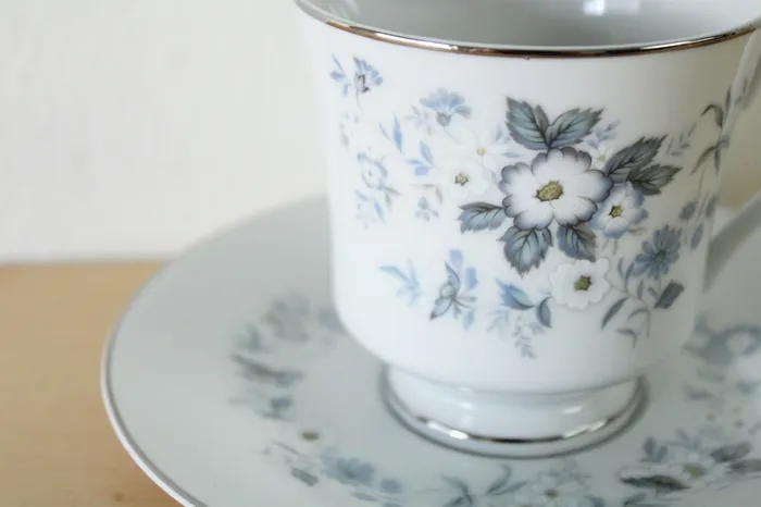 Imoco Rings Imoco Fine China No 2244 Blue Floral Teacup Saucer
