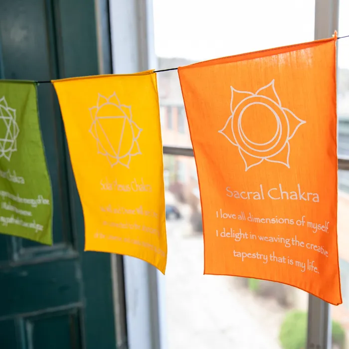 Large Chakra Prayer Flags DharmaCrafts Earrings