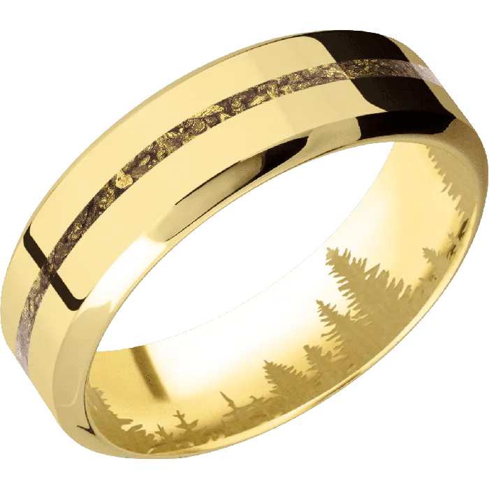 Lashbrook Earrings 14K Yellow Gold Polish Polish Finish