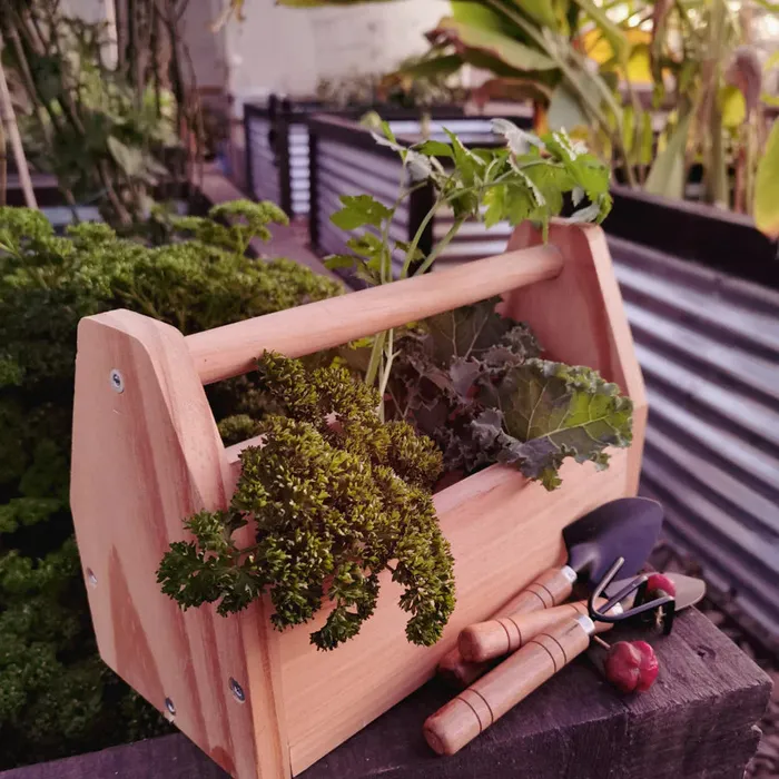 Necklaces Stumped Little Gardeners DIY Kit