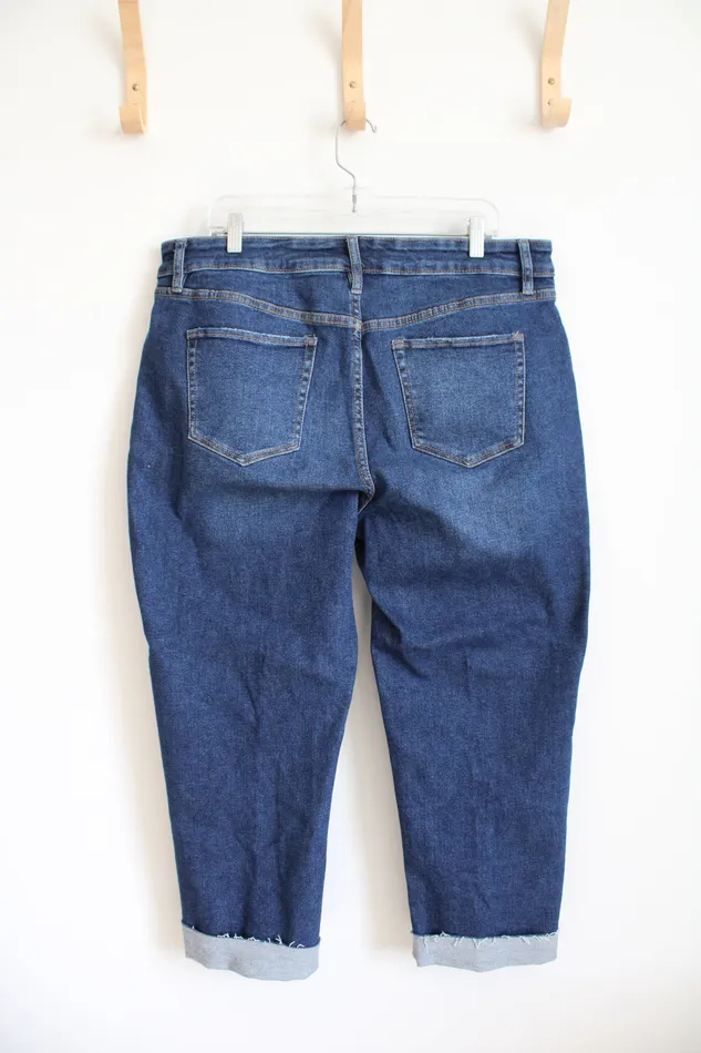 NEW Ava Viv Slim Straight Crop Distressed Jeans 16W Ava Viv Earrings