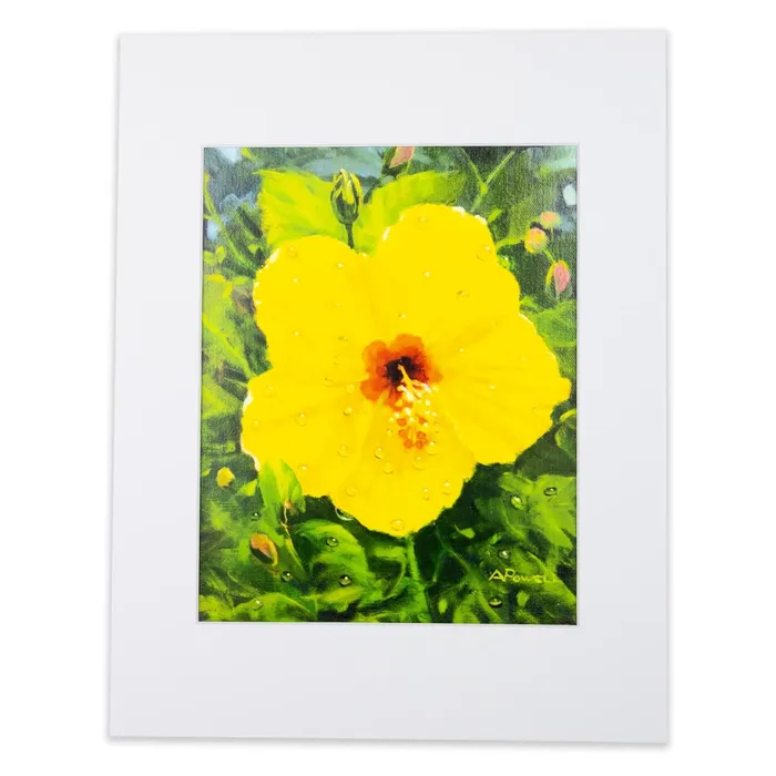 PCCBUYDIRECT Earrings Yellow Hibiscus Matted Print by Antoinette Powell 11 x 14