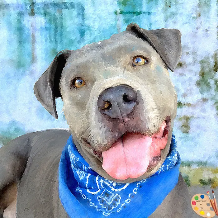 Portraits by NC Earrings Pit Bull Digital Portrait