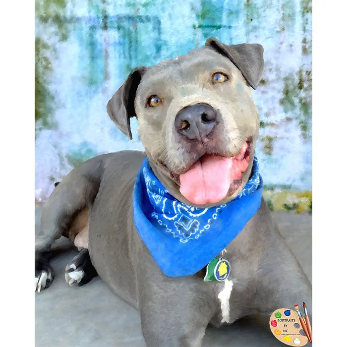 Portraits by NC Earrings Pit Bull Digital Portrait