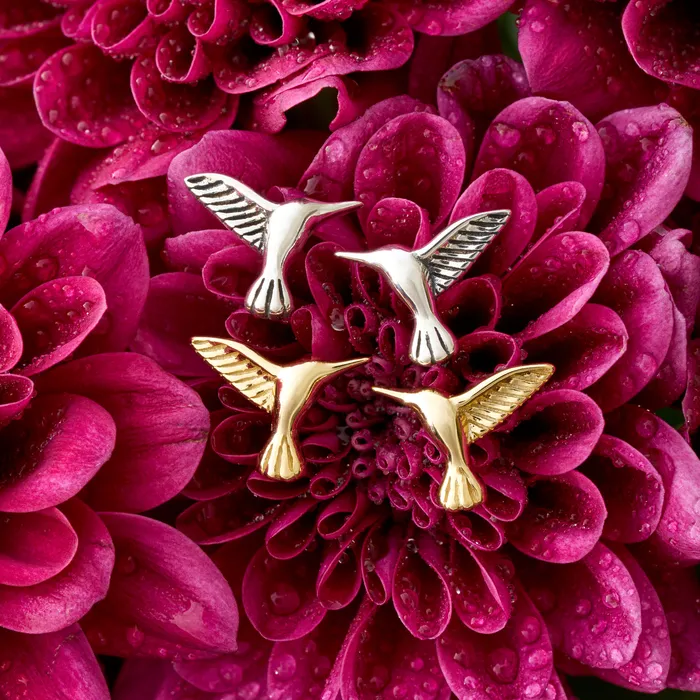 Sterling Silver Hummingbird Stud Bundle Chadds Ford Jewelry Earrings