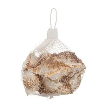 THEBEACHCOMBER Earrings Sea Snails Bag