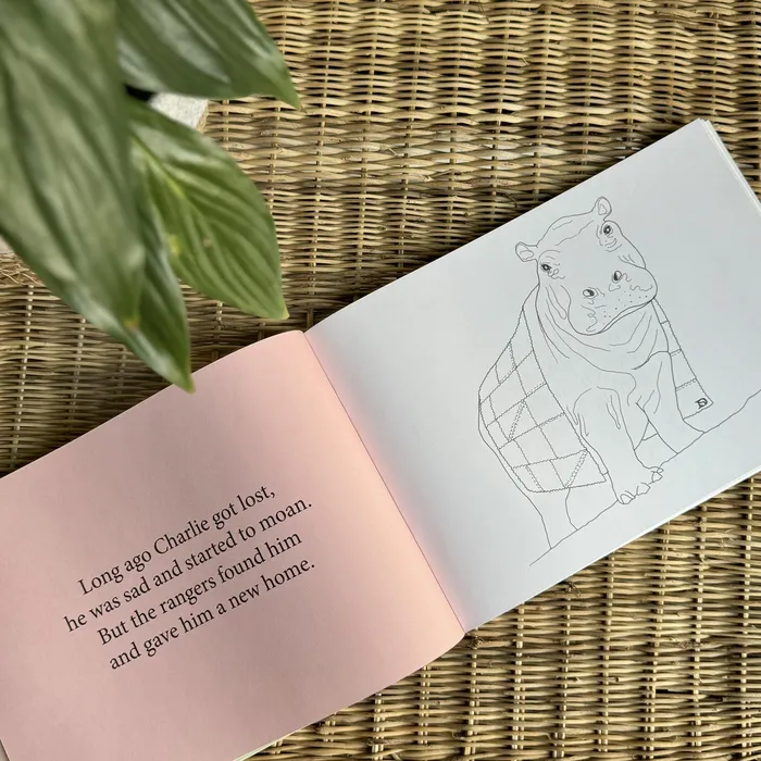 Whimsical Earrings Under African Skies Colouring Story Book