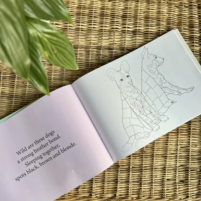 Whimsical Earrings Under African Skies Colouring Story Book