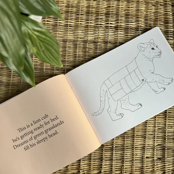 Whimsical Earrings Under African Skies Colouring Story Book